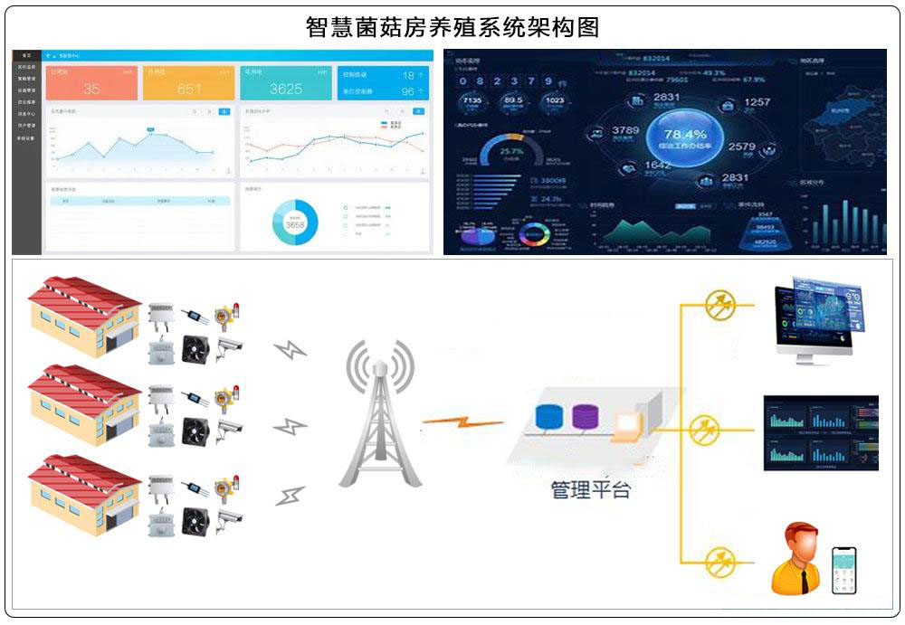 1636012156735474.jpg 0-4.jpg