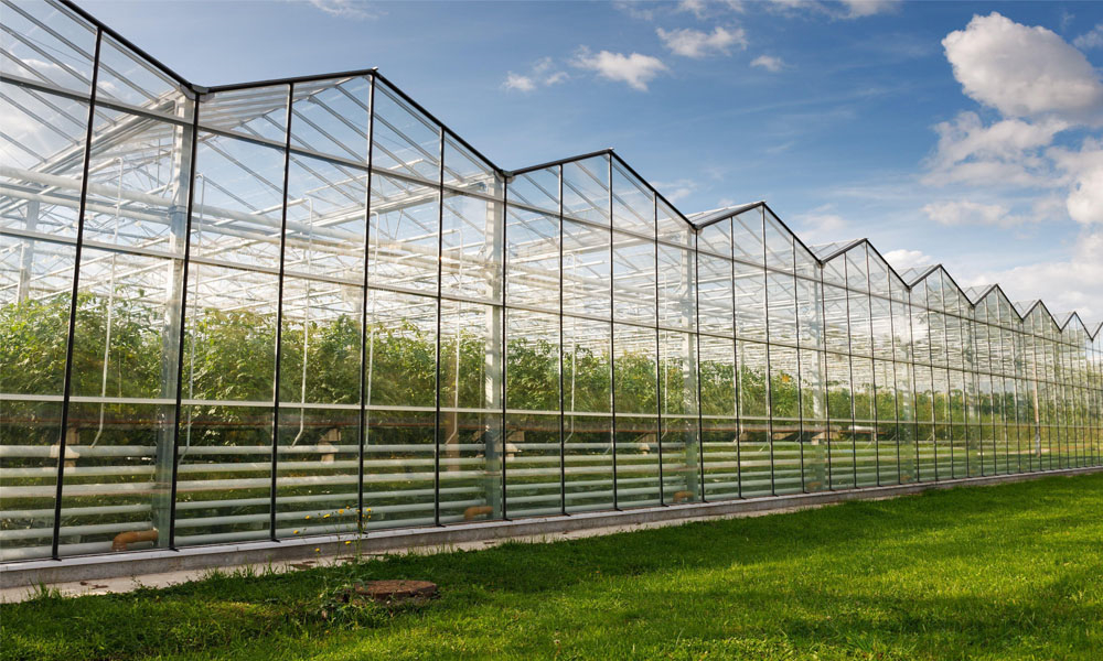 1608950632572772.jpg 1-2-1.jpg