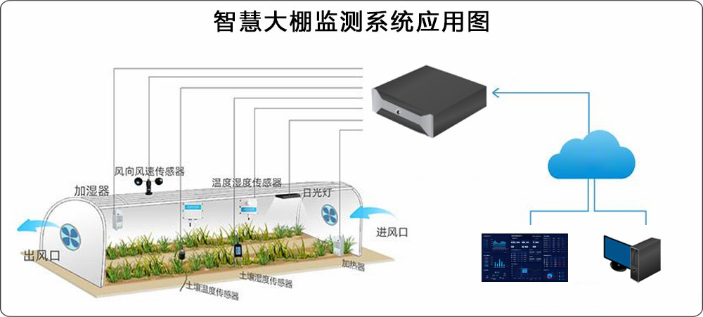 1619606323664648.jpg 4.jpg