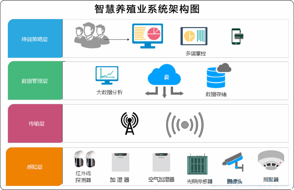 1619664039698376.jpg 3.jpg