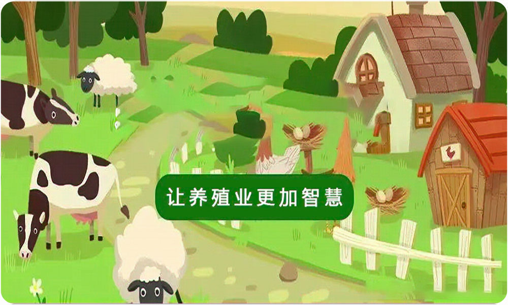 1619663885527136.jpg 2.jpg