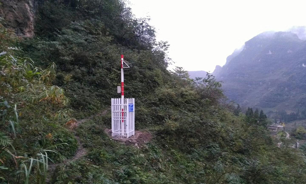 1641805934686741.jpg 2.jpg