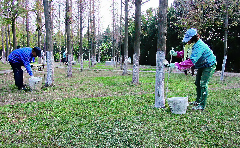 1620289627266108.png 1.png